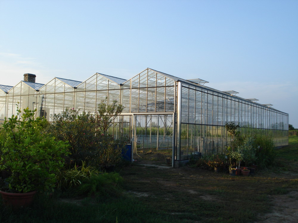 birtok